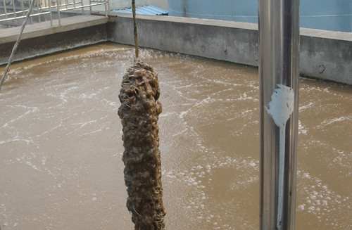 水处理填料对污水的实际处理作用