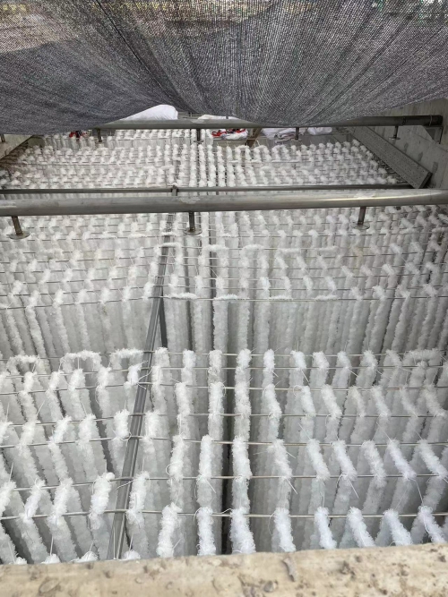 生物绳填料的具体功能有哪些？