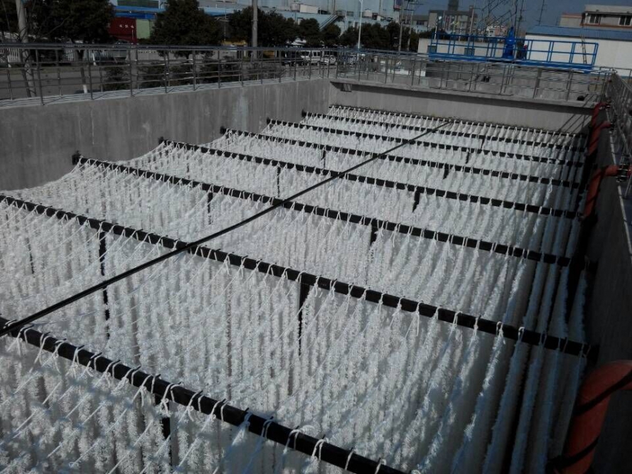 生物绳填料厂家哪家好？