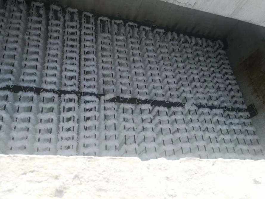 生物填料的使用寿命有多长？