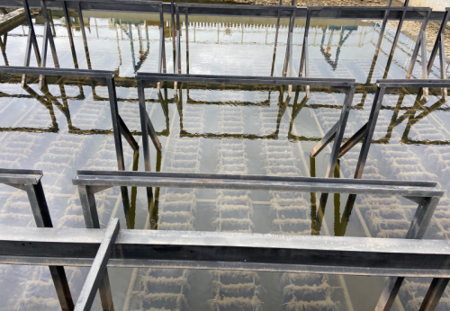 辫带式填料是如何发挥作用的呢？