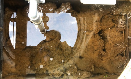 7d4247b90218448c8593db4ea0039832_2 (1).jpg